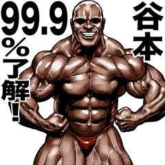Tanimoto dedicated Muscle macho sticker