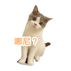 我是姆明3
