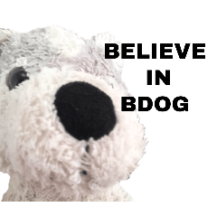 Bdog ver.1