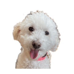 minorin_20240704142119