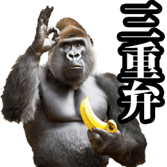 Gorilla in Mie