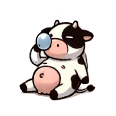 Lazy Holstein Cows5