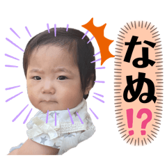 tanuki_20240704192850