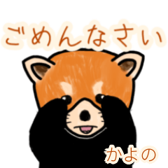 Kayono's lesser panda