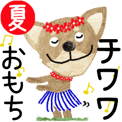 Chihuahua "OMOCHI" 2024SUMMER