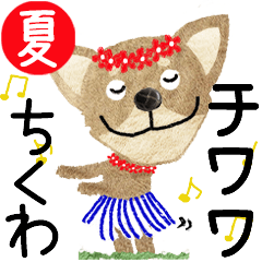 Chihuahua "CHIKUWA" 2024SUMMER