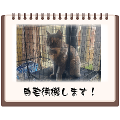 Hiro's_20240704214056