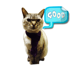 Yamtom_20240704233808