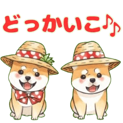 Straw hats and Shiba Inu dogs!