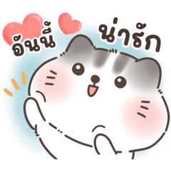 Melon and Tang Mo Cute Cat (TH)