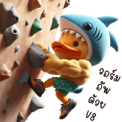 Ducky Sharky Bouldering V1