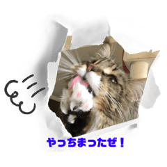 sy_20240705130705