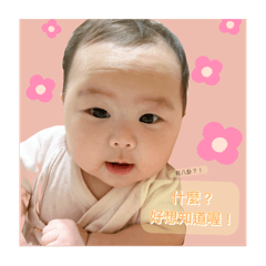 子緹baby4.0