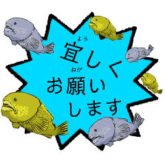 流石です！ニュウドウカジカのヨイショ言葉