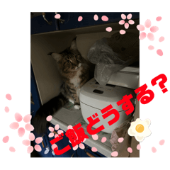 sy_20240706105240