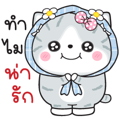 Munkaew little cat V.35