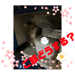 sy_20240706211629