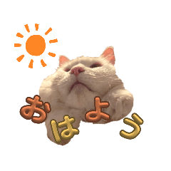 cocolin_20240706162007