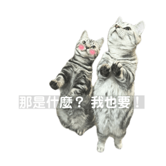 熊熊妹妹的大日常