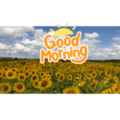 tori_20240706183625