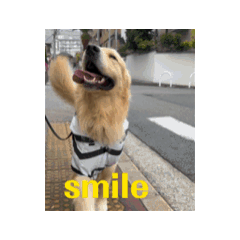 nanari_20240707193406