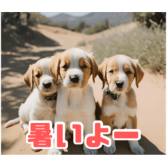 リアル☆子犬たちのかわいいひととき