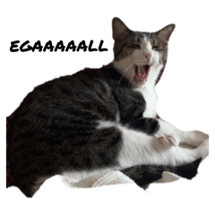 eripurin_20240706232215