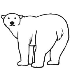 White bear of the daily life