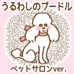 poodle dog Pet salon grooming salon Ver.