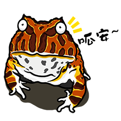 Cunning frog expression diagram XXI