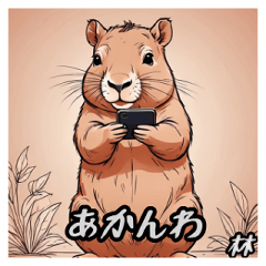 Kansai dialect capybara.hayasi