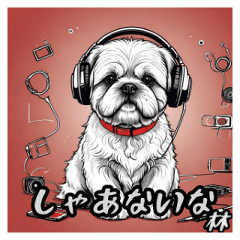 Shih Tzu Kansai dialect.hayasi