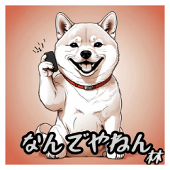 Shiba Inu Kansai dialect1