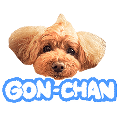 GonChang