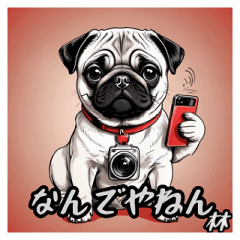 Pug Kansai dialect