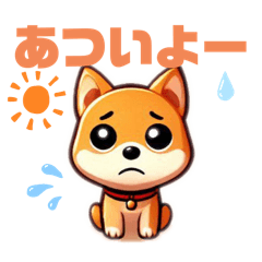 Shiba dog in summer