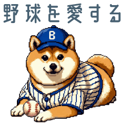 baseball shiba dog