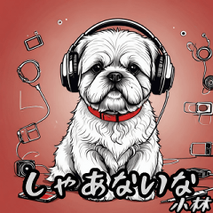 Shih Tzu Kansai dialect.