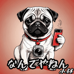 Pug Kansai dialect.