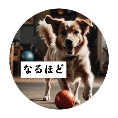 AI dog 10th (Japan,English,China,Korea)