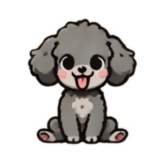 "Poo-chan" the silver toy poodle