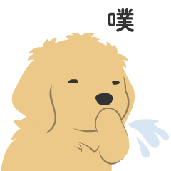 kesanitw - Golden Retriever Puppy Daily