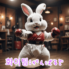 Boxing Rabbit JK