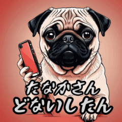 In Kansai dialect, for Tanaka-san, Pug.