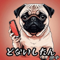 Kansai dialect, for Tanaka himself, Pug.