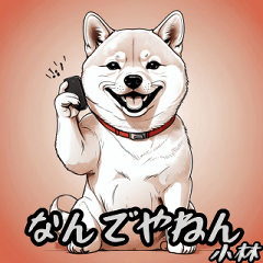 Shiba Inu, Kansai dialect, for Kobayashi