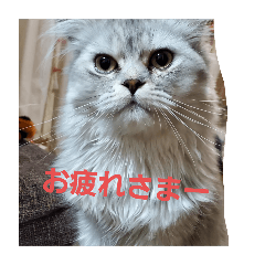 momomax_20240706200216