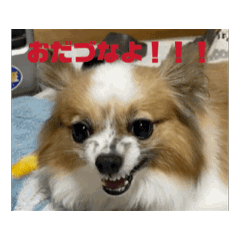 NULL8_20240708195229