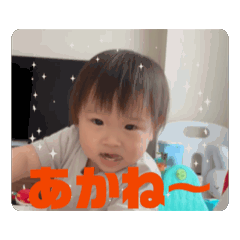 Toko_20240708233656