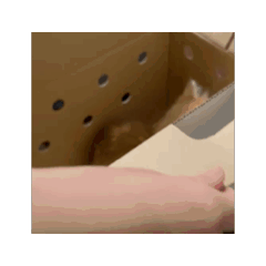 n_20240709021434